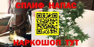 СК Нягань