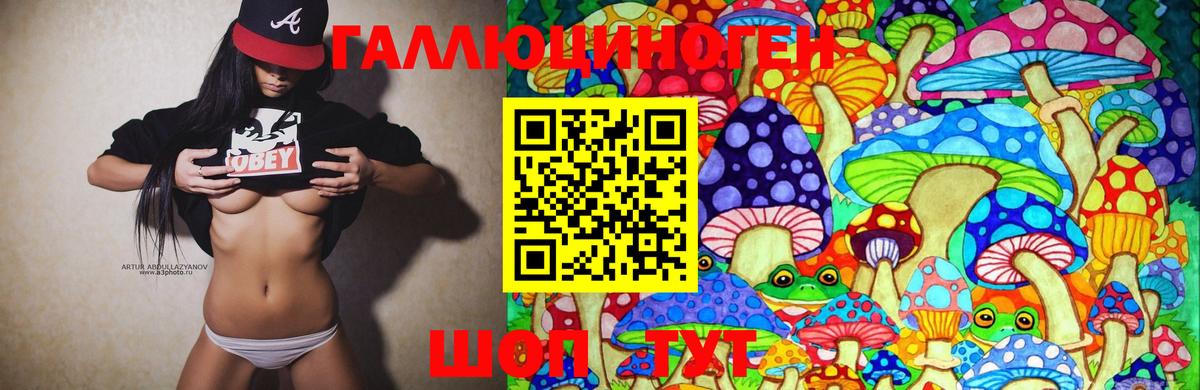 Галлюциногенные грибы GOLDEN TEACHER Тихвин